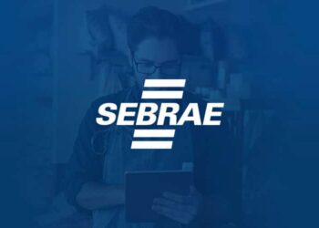 Sebrae Goiás oferece atendimento online e presencial para MEI