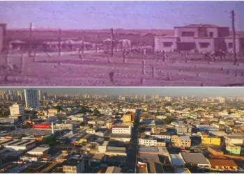 Campinas, perdão por não te amar