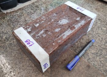 Estudo de professor do IPOG sobre tijolos ecológicos é publicado por revista internacional