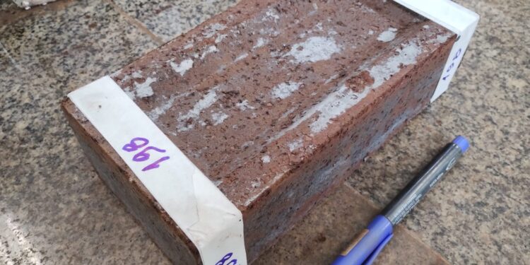 Estudo de professor do IPOG sobre tijolos ecológicos é publicado por revista internacional