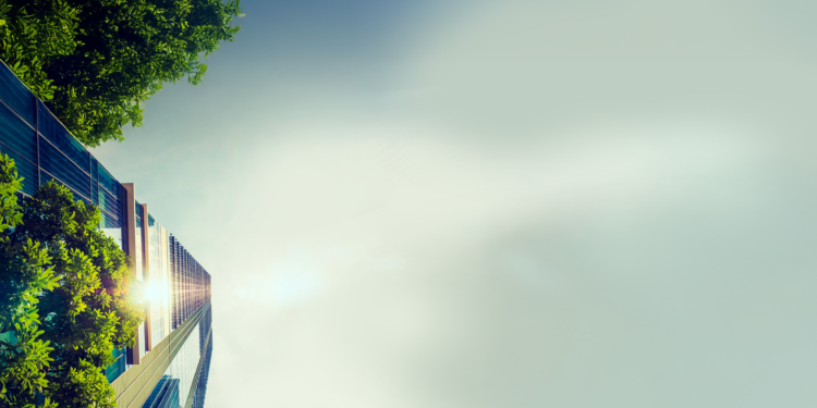 Setor da construção em Goiás investe em boas práticas ESG