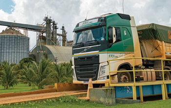 Raio X do Centro-Oeste: Grupo Bom Futuro — a potência agrícola que nasceu de uma fazenda arrendada