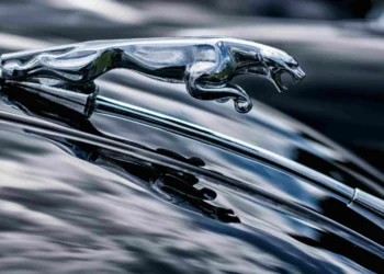 O rugido que virou miado