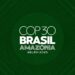 COP30 no Brasil e o papel do empresário