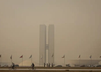 Brasília está ouriçada