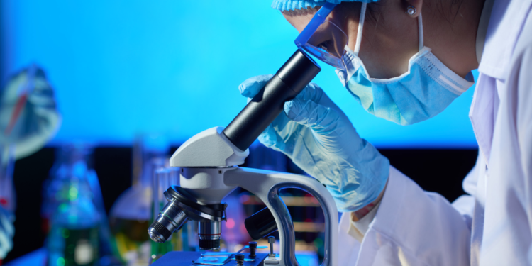 Startups goianas decolam e evidenciam potencial do Estado