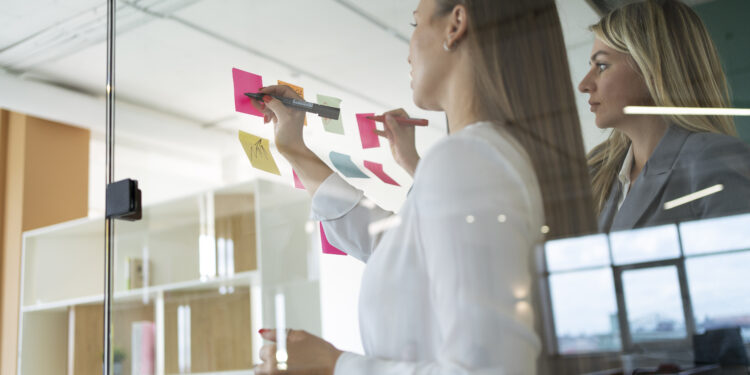 Marcas vivas: por que o branding é um projeto de transformação