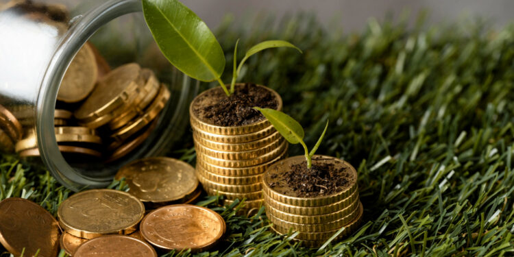 Impactos no ambiente de financiamento internacional para Goiás