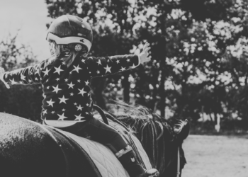 Pôneis e cavalos que curam