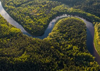 Banco Mundial aprova criação de fundo de preservação ambiental