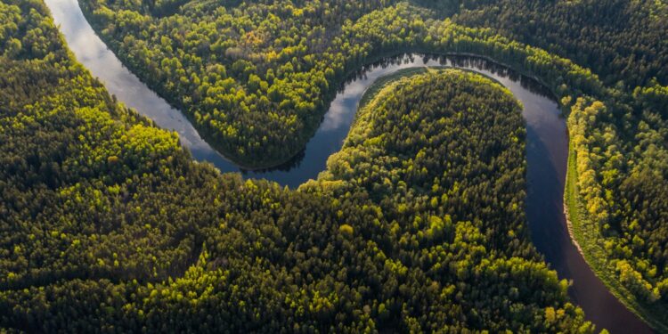 Banco Mundial aprova criação de fundo de preservação ambiental