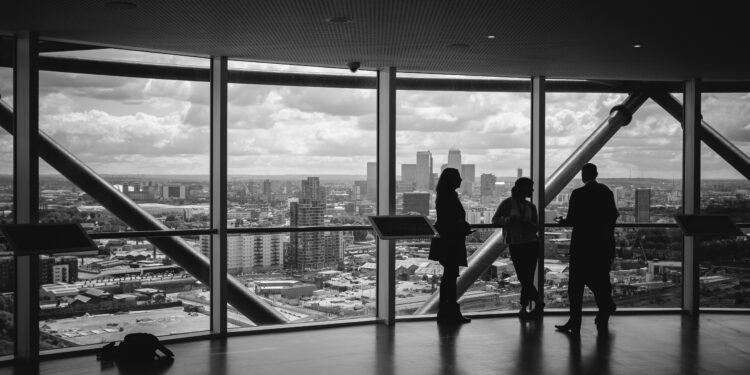 Os Comitês de Assessoramento na Governança Corporativa