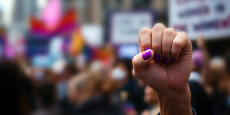 O controle social e a democracia participativa