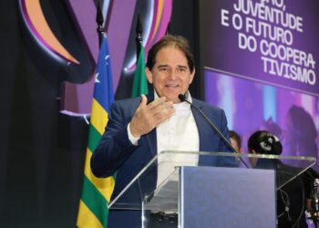 Perfil: Marcelo Baiocchi