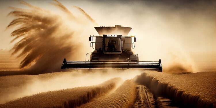 Safra deve recuar 3,7% em 2026, segundo o IBGE