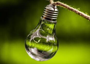 Goiás é referência de crescimento sustentável