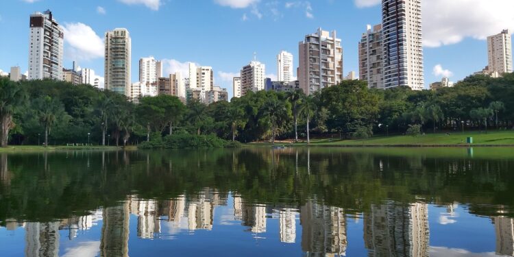 2025: A leitura do ano na visão de 20 líderes setoriais