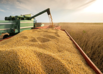 Soja tem previsão de novo recorde na série histórica em 2026