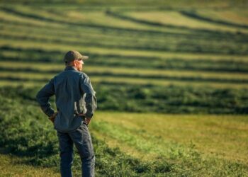 Déficit em Brasília, prejuízo no campo