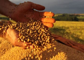 Estimativa projeta novo recorde na safra de soja