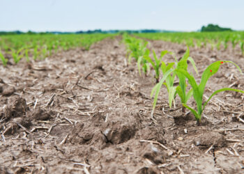 Risco Agro e a guerra do Irã 