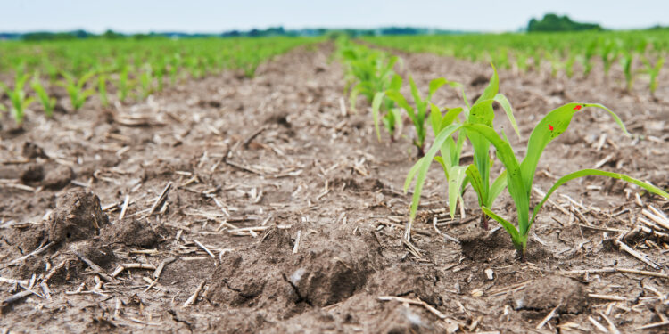 Risco Agro e a guerra do Irã 