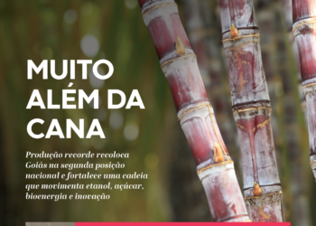 Edição 84