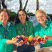 Projeto de mulheres cooperativistas une impacto ambiental e social