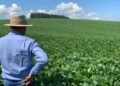 Imposto sobre propriedade rural tem novas regras em 2026