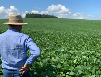 Imposto sobre propriedade rural tem novas regras em 2026