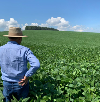 Imposto sobre propriedade rural tem novas regras em 2026