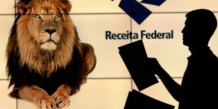 Atenção aos rendimentos e à declaração do Imposto de Renda