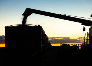 Futuro do agro: produtor, indústria e capital
